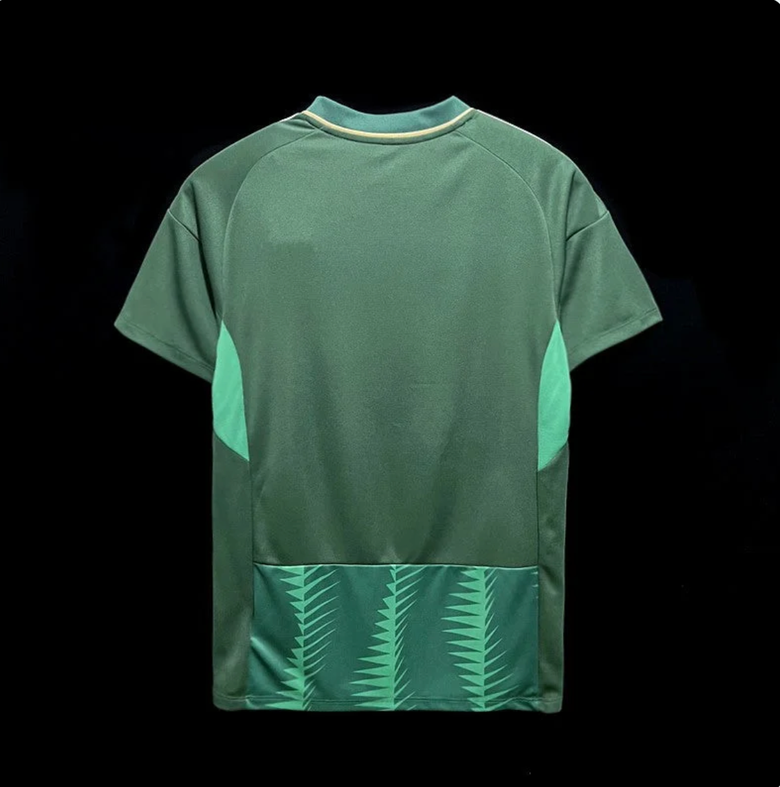 Arabie Saoudite maillot 2023-2024
