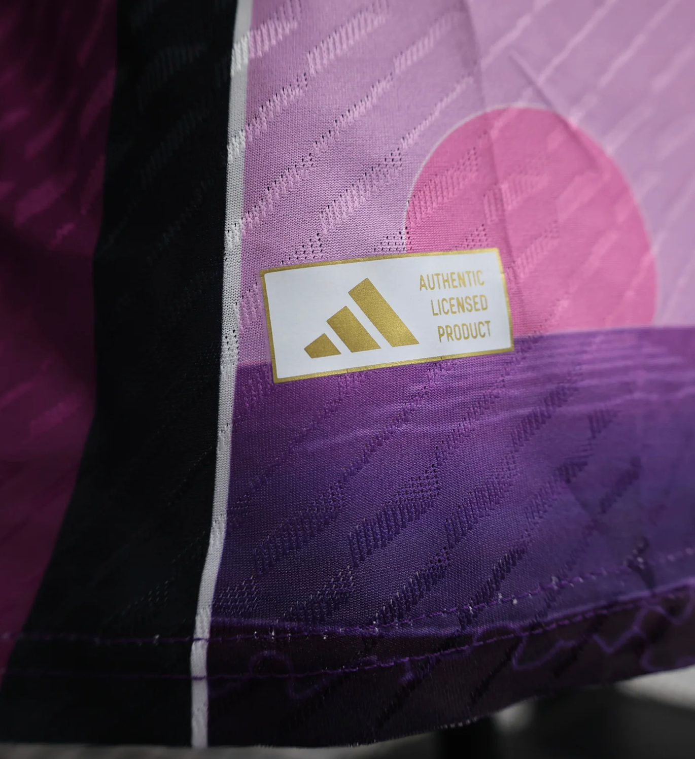 MAILLOT JAPON VIOLET CONCEPT 2024/2025