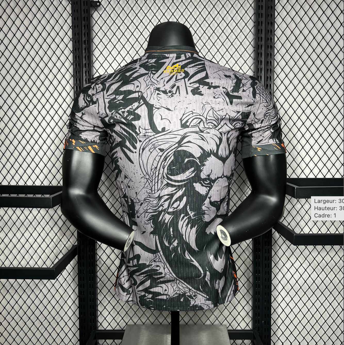 Maillot Pays-Bas 2024/2025 Jordan x Hermès